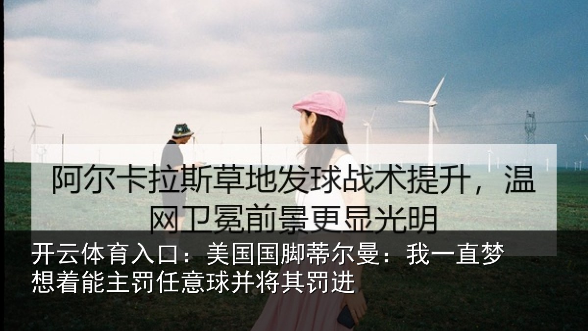 开云体育入口：美国相关情况相关情况球并将其罚进
