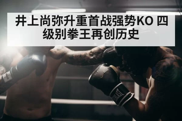 boxer throwing punch